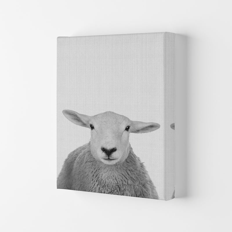Trust This Wise Sheep Art Print by Jason Stanley Canvas