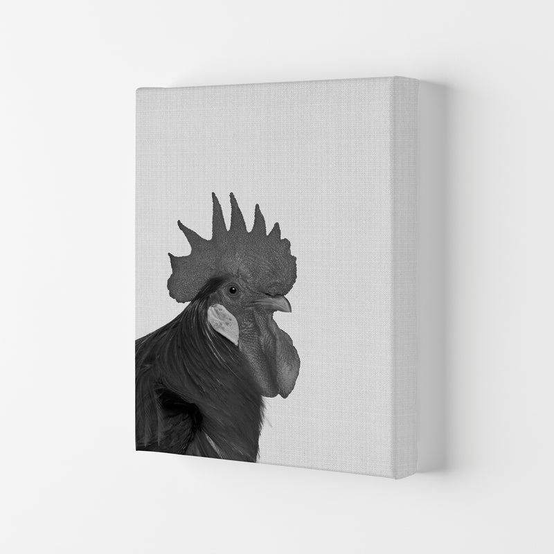 Cock A Doodle Doo Art Print by Jason Stanley Canvas