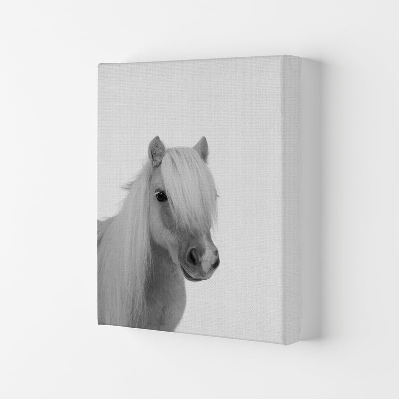 Stay Gold Pony Boy Art Print by Jason Stanley Canvas