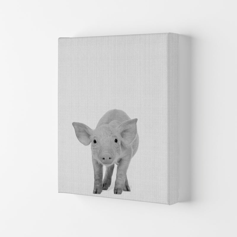 The Cutest Pig Art Print by Jason Stanley Canvas