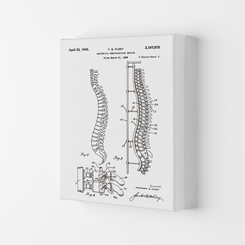 Anatomical Spine Display Patent Art Print by Jason Stanley Canvas