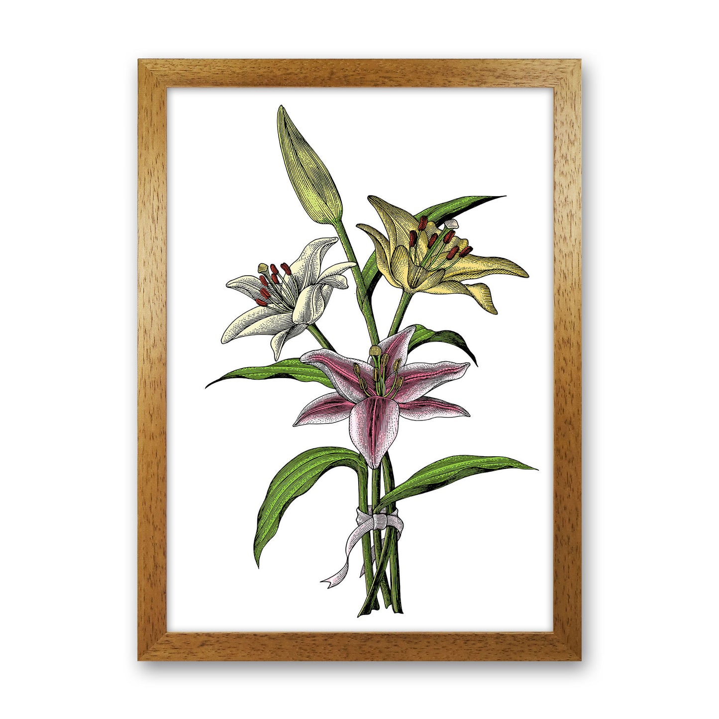 Vintage Lilly Illustration Art Print by Jason Stanley Oak Grain