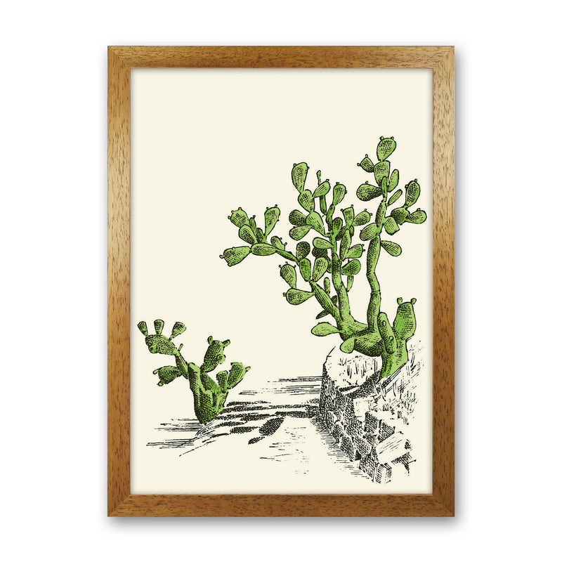 Prickly Pear Cactus Art Print by Jason Stanley Oak Grain
