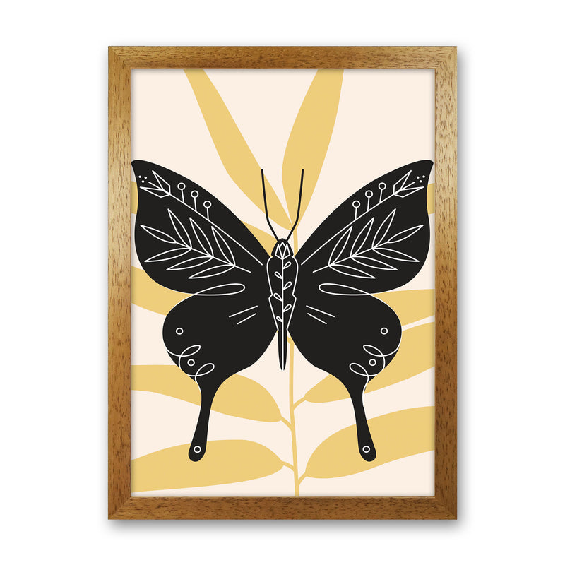 Abstract Butterfly Art Print by Jason Stanley Oak Grain