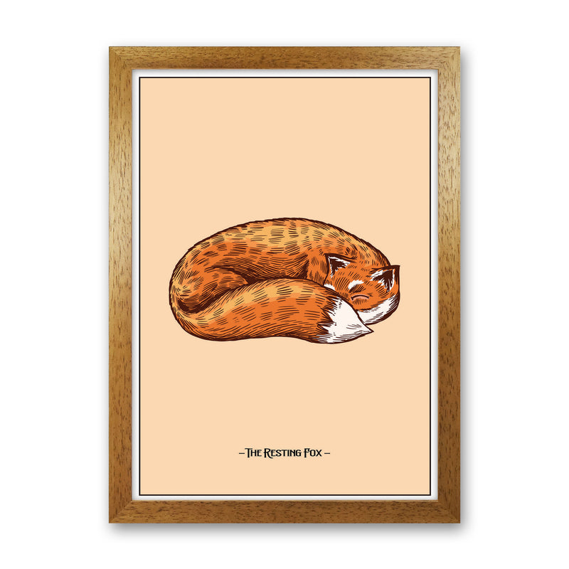 The Resting Fox Art Print by Jason Stanley Oak Grain