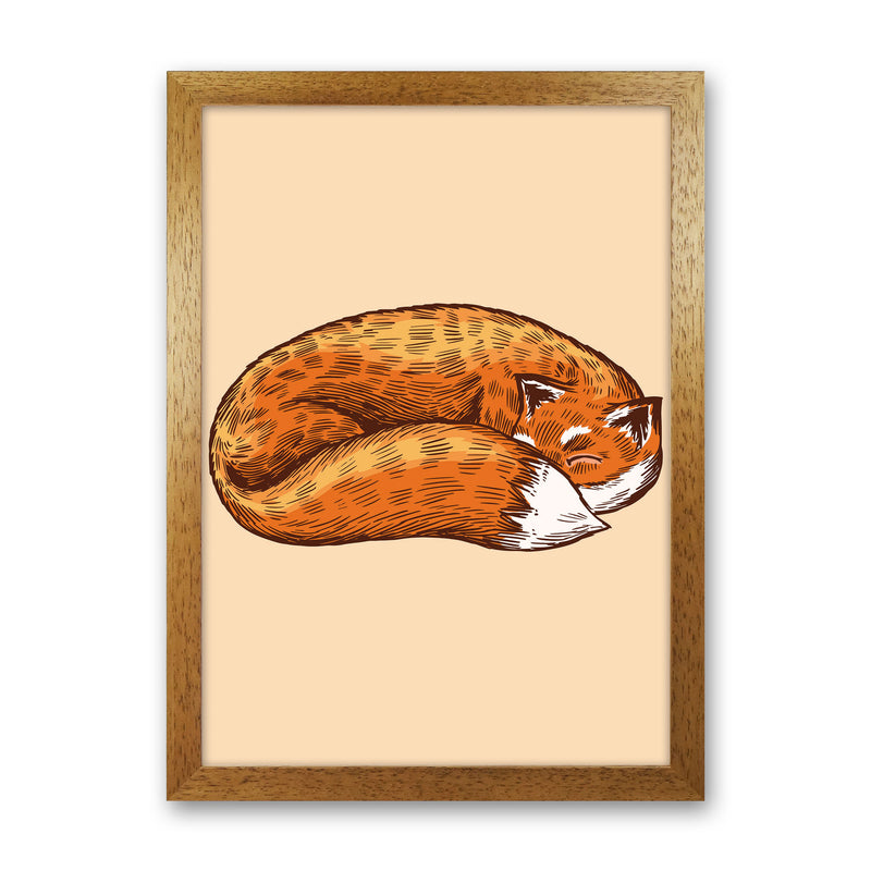 The Sleeping Fox Art Print by Jason Stanley Oak Grain