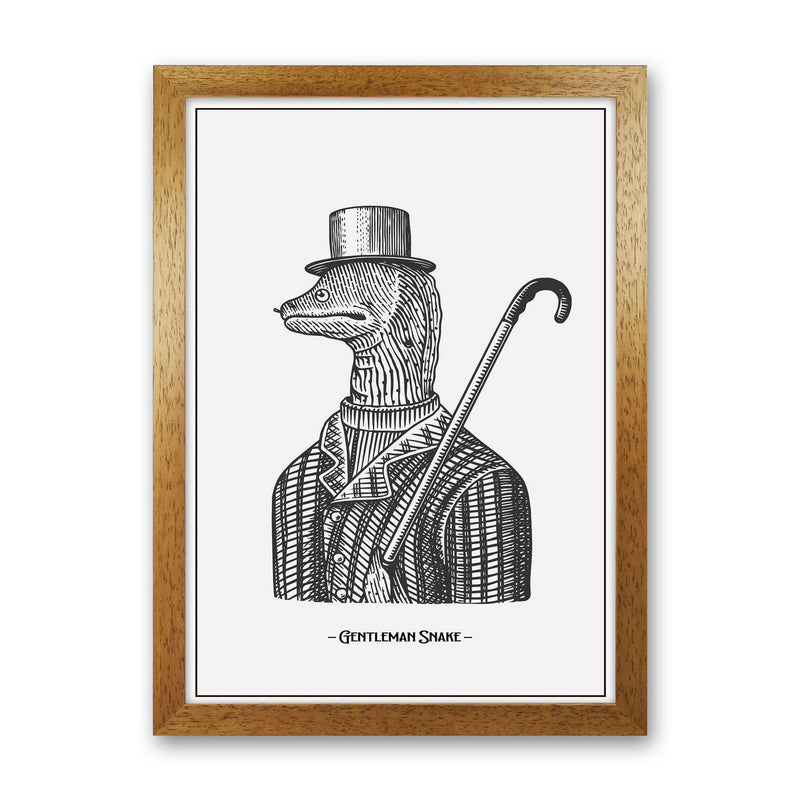 Gentlemen Snake Art Print by Jason Stanley Oak Grain