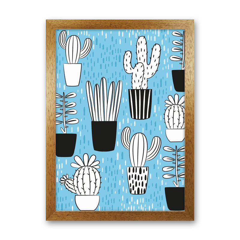 Cactus Vibes