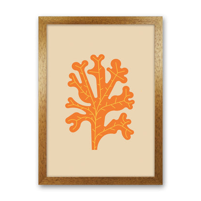 Orange Seaweed Art Print by Jason Stanley Oak Grain