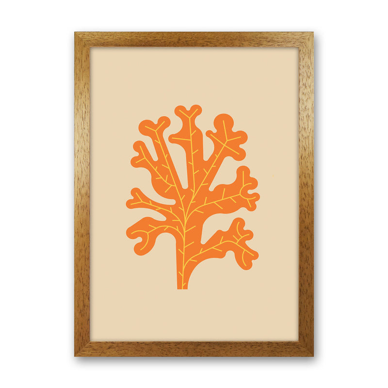 Orange Seaweed Art Print by Jason Stanley Oak Grain