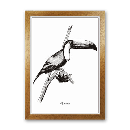 Tucan Art Print by Jason Stanley Oak Grain
