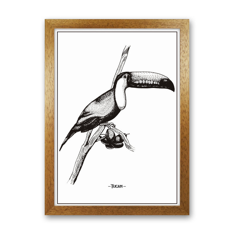 Tucan Art Print by Jason Stanley Oak Grain