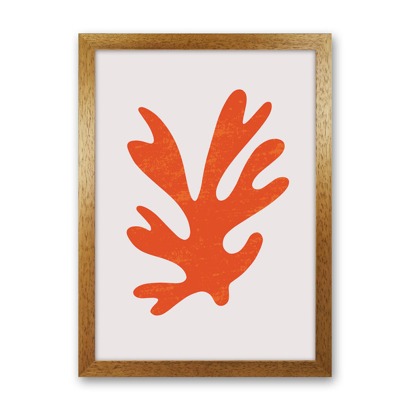 Abstract Red Algae Art Print by Jason Stanley Oak Grain