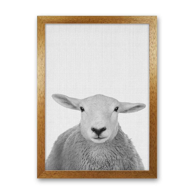 Trust This Wise Sheep Art Print by Jason Stanley Oak Grain