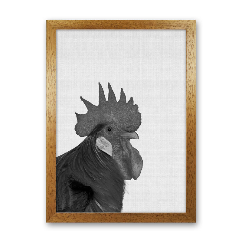 Cock A Doodle Doo Art Print by Jason Stanley Oak Grain