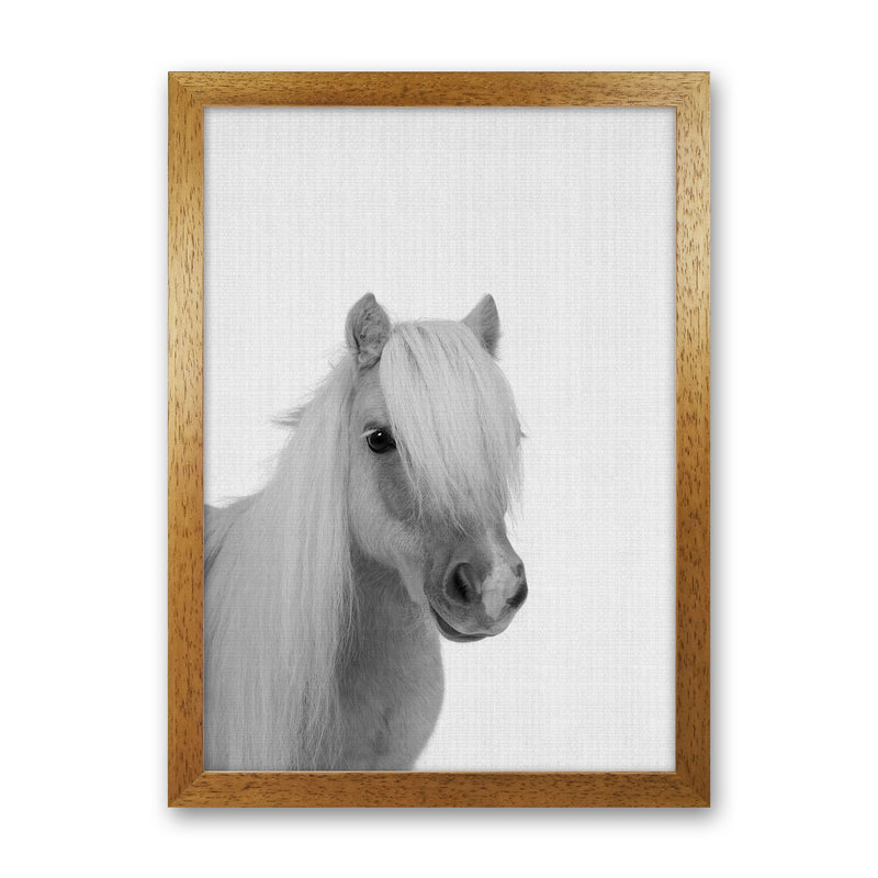 Stay Gold Pony Boy Art Print by Jason Stanley Oak Grain