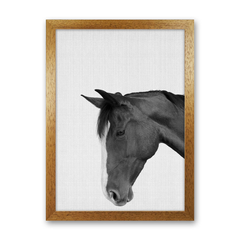 Man's Best Friend Art Print by Jason Stanley Oak Grain