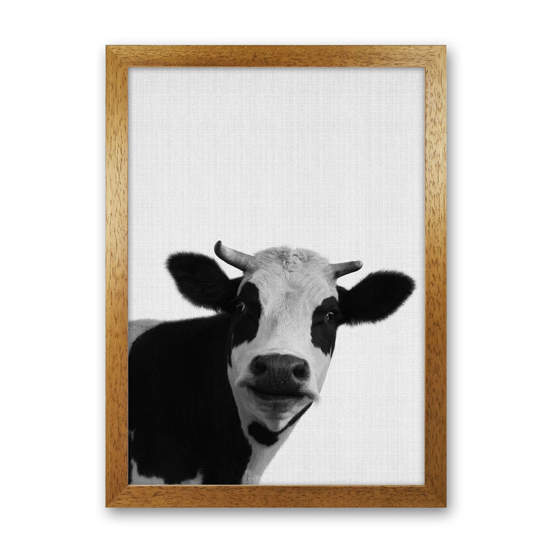 Holy Cow Art Print by Jason Stanley Oak Grain