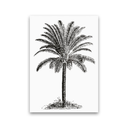 Vintage Palm Tree Art Print by Jason Stanley Print Only
