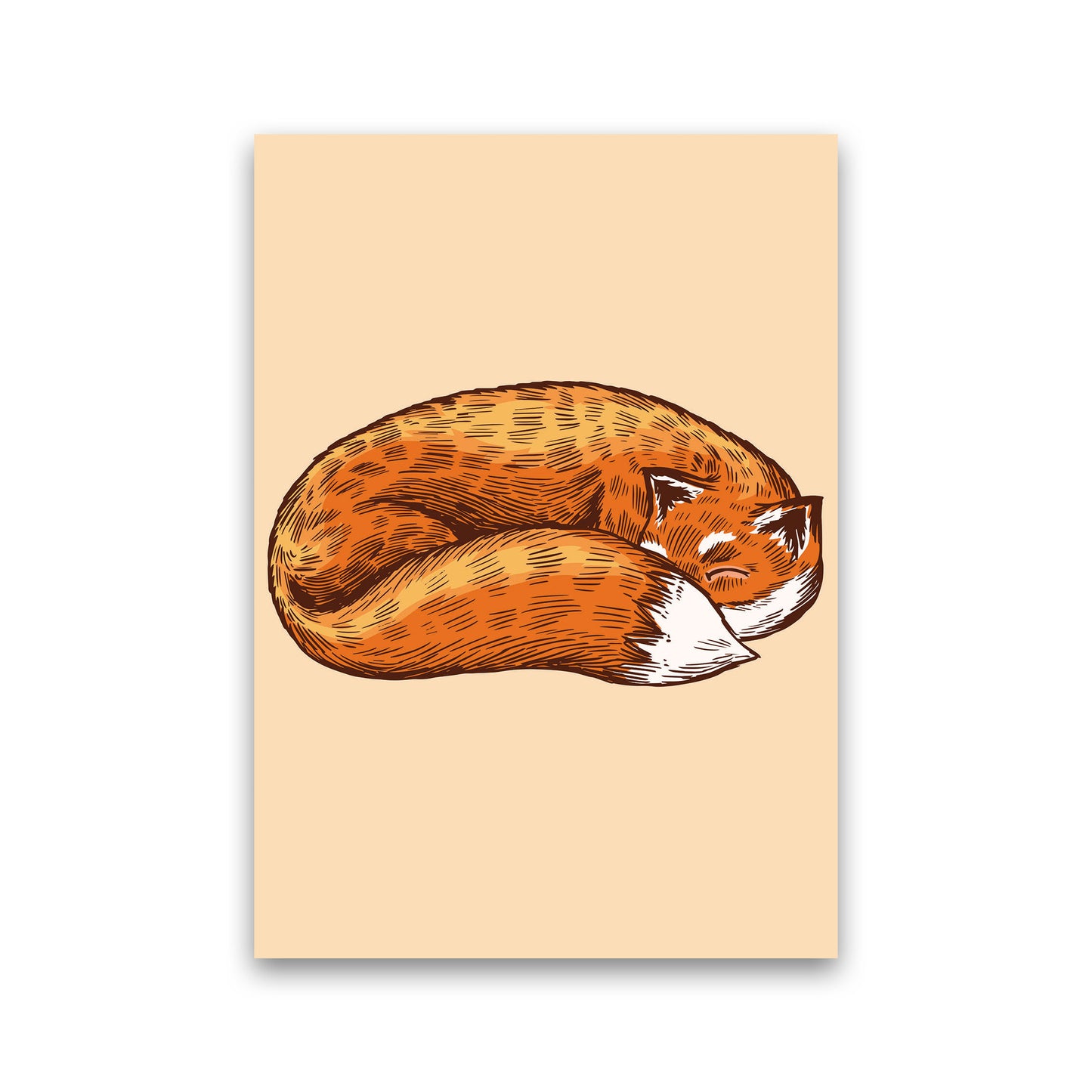 The Sleeping Fox Art Print by Jason Stanley Print Only