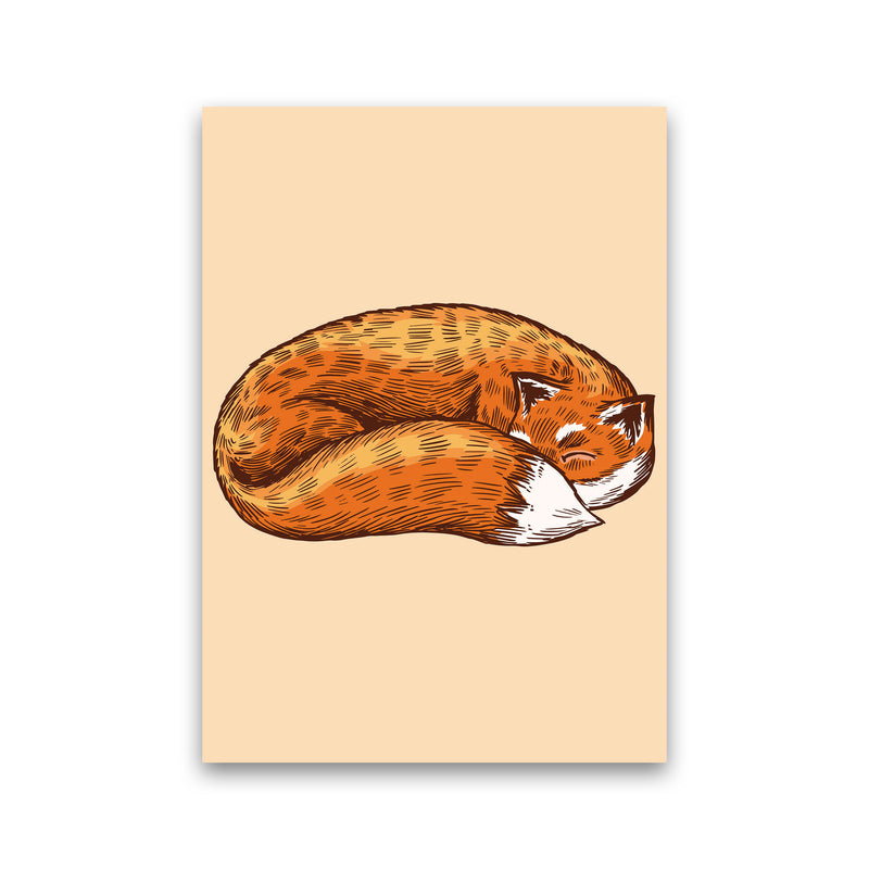 The Sleeping Fox Art Print by Jason Stanley Print Only