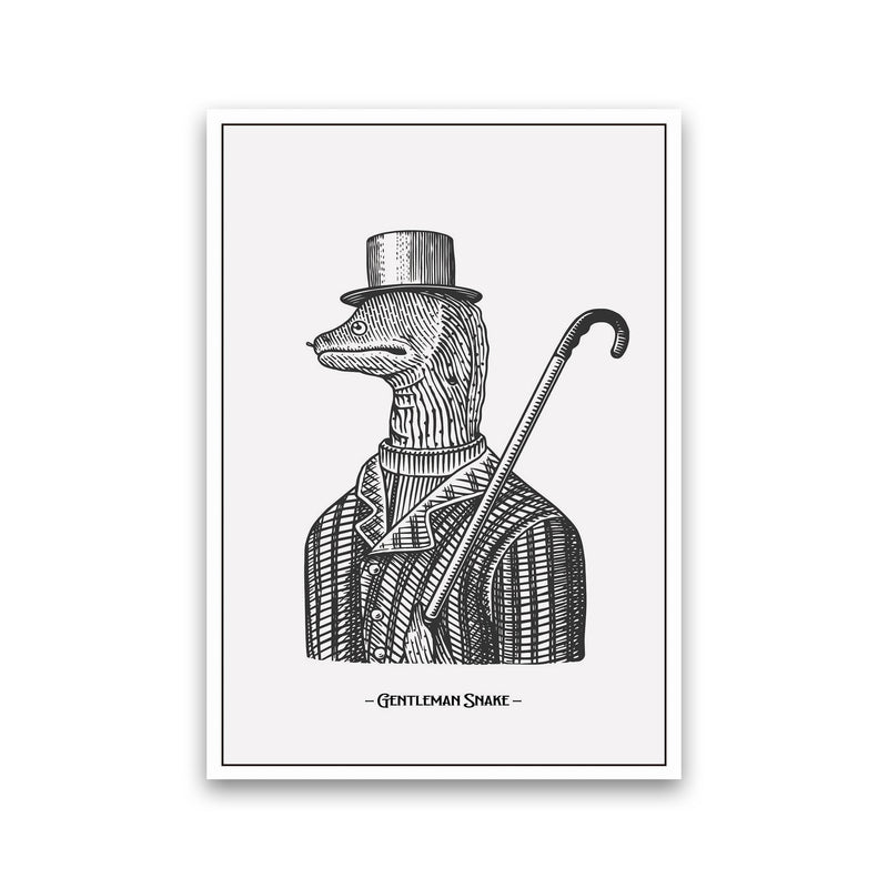 Gentlemen Snake Art Print by Jason Stanley Print Only