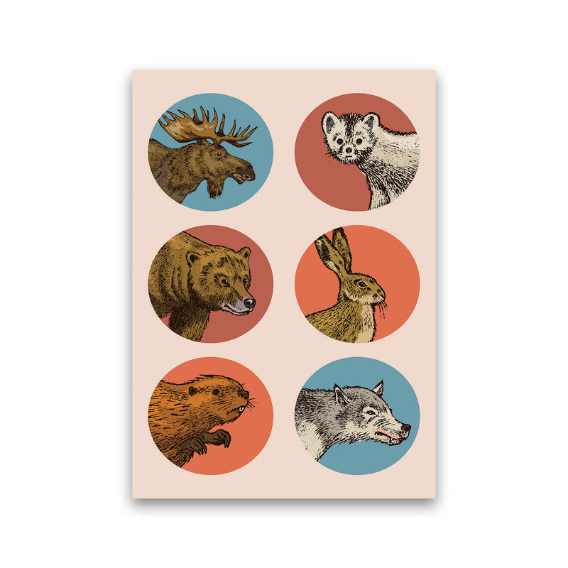 Animal Circles Art Print by Jason Stanley Print Only