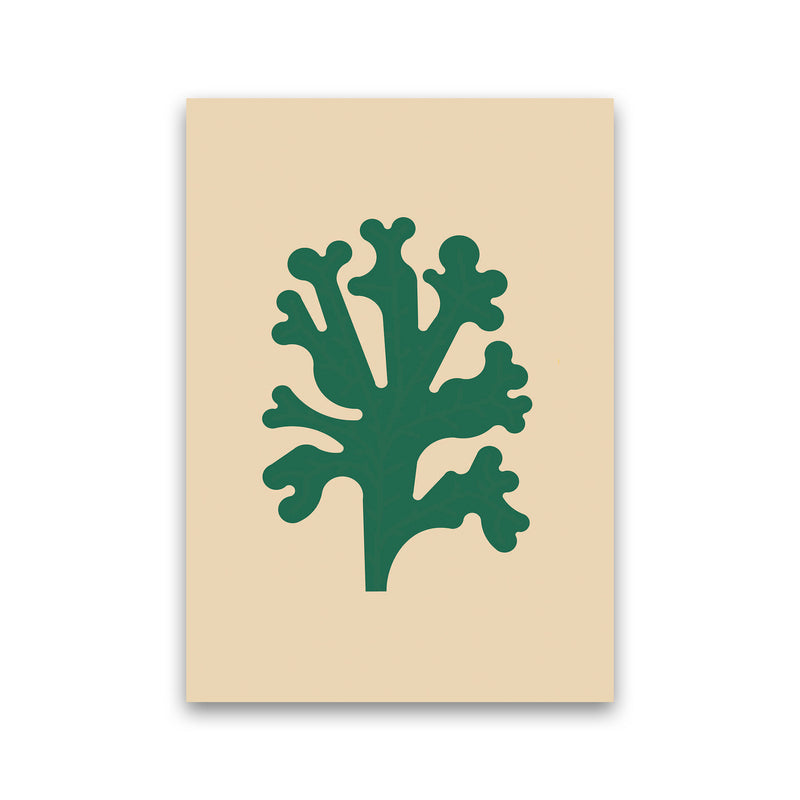 Cutout Seaweed Art Print by Jason Stanley Print Only