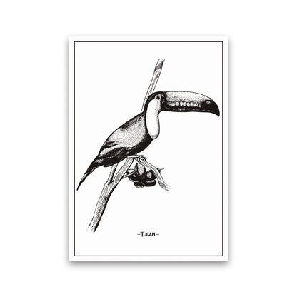 Tucan Art Print by Jason Stanley Print Only