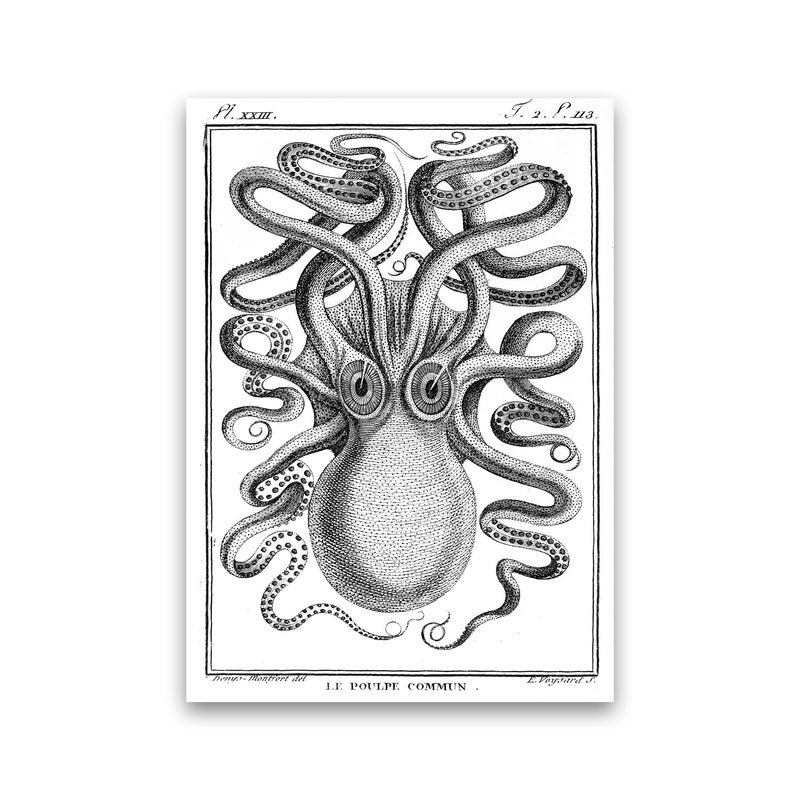 White Vintage Octopus Art Print by Jason Stanley Print Only