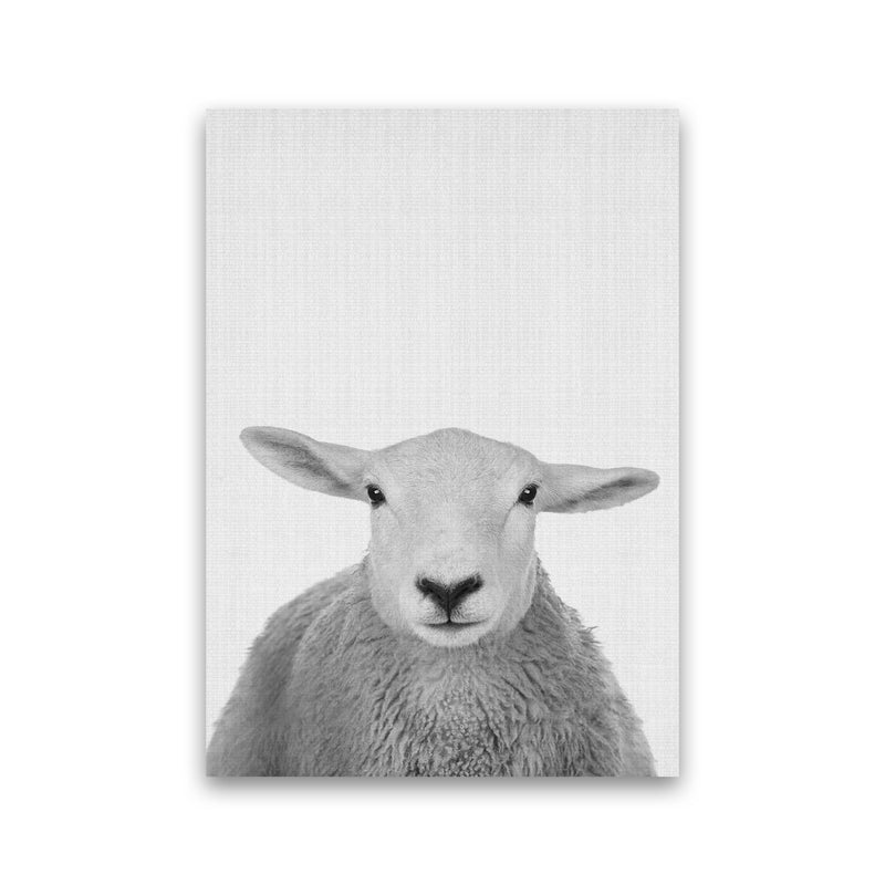 Trust This Wise Sheep Art Print by Jason Stanley Print Only