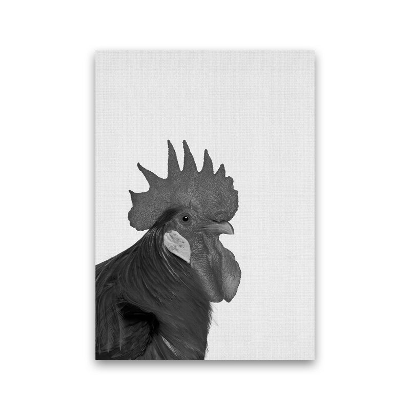 Cock A Doodle Doo Art Print by Jason Stanley Print Only