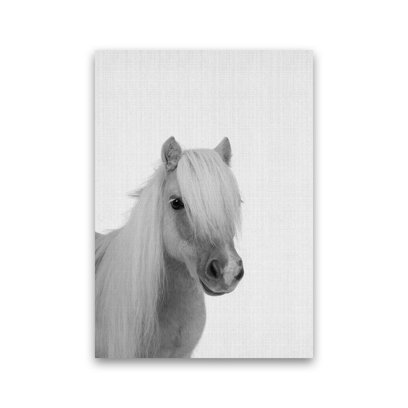 Stay Gold Pony Boy Art Print by Jason Stanley Print Only