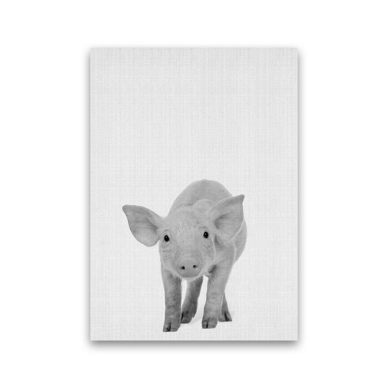 The Cutest Pig Art Print by Jason Stanley Print Only
