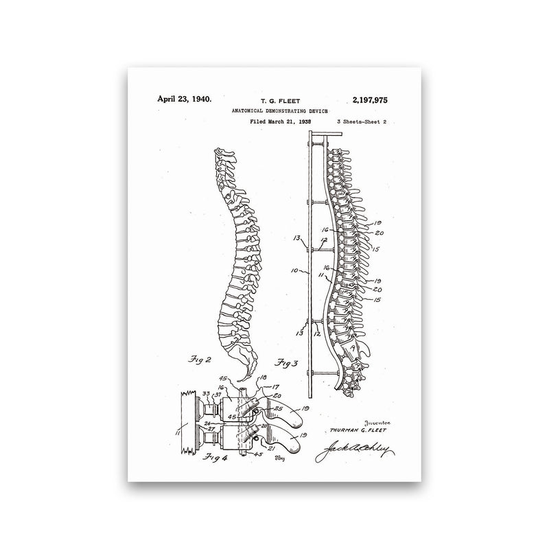 Anatomical Spine Display Patent Art Print by Jason Stanley Print Only