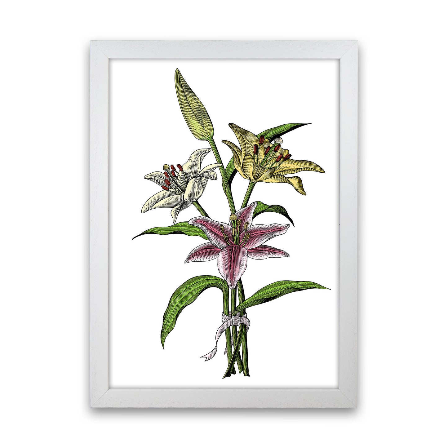 Vintage Lilly Illustration Art Print by Jason Stanley White Grain