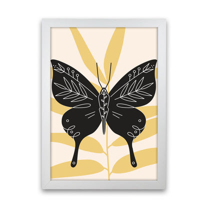 Abstract Butterfly Art Print by Jason Stanley White Grain