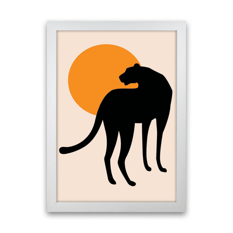 Leopard Sun Poster Art Print by Jason Stanley White Grain