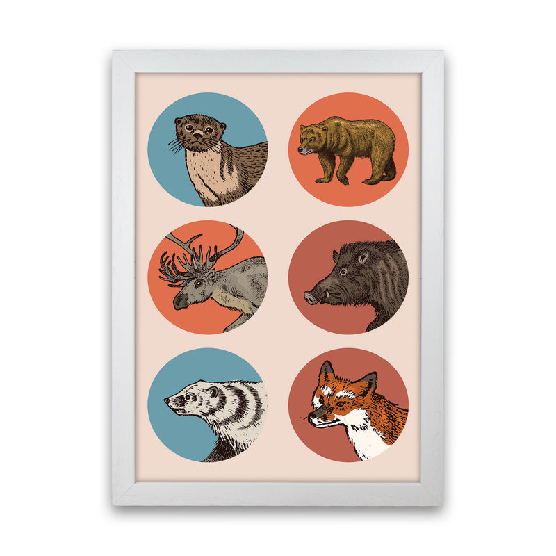Animal Circles II Art Print by Jason Stanley White Grain