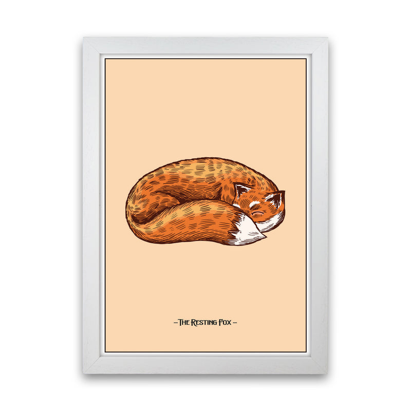 The Resting Fox Art Print by Jason Stanley White Grain