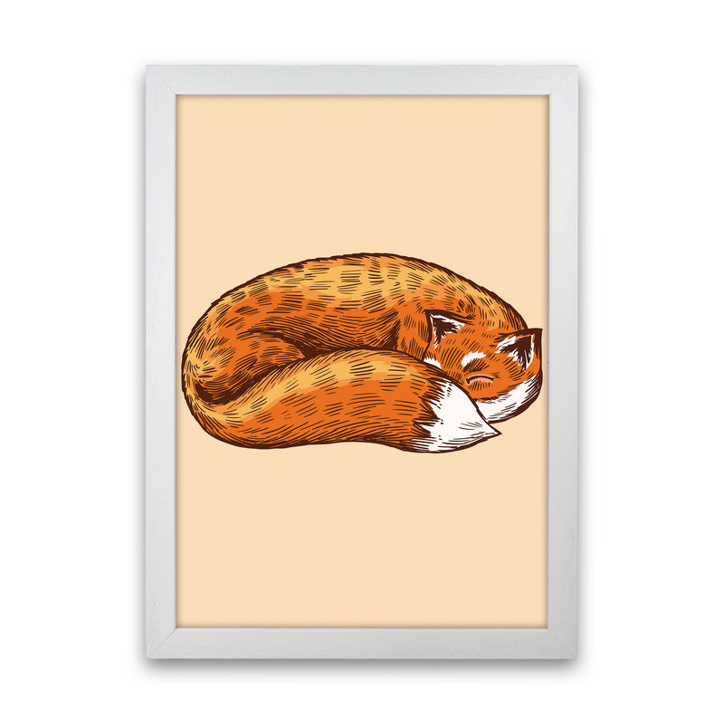 The Sleeping Fox Art Print by Jason Stanley White Grain