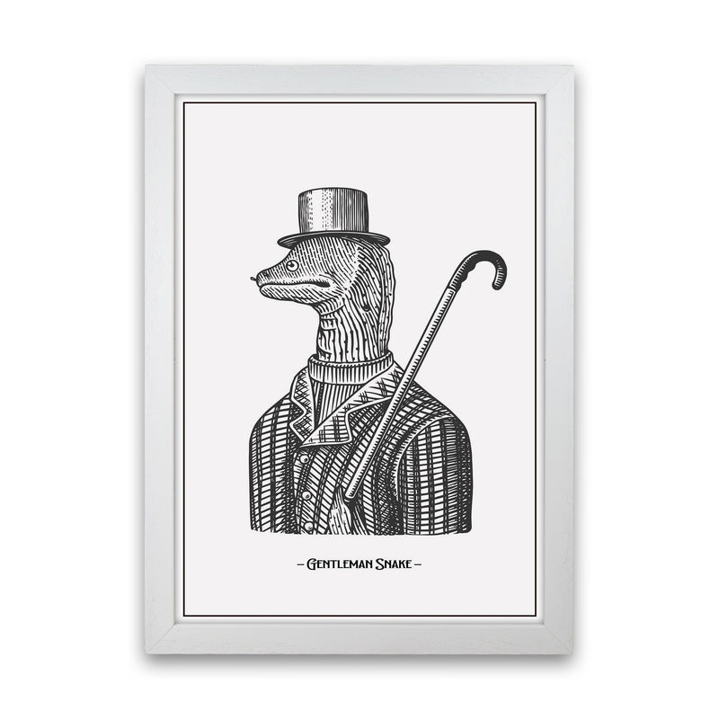 Gentlemen Snake Art Print by Jason Stanley White Grain
