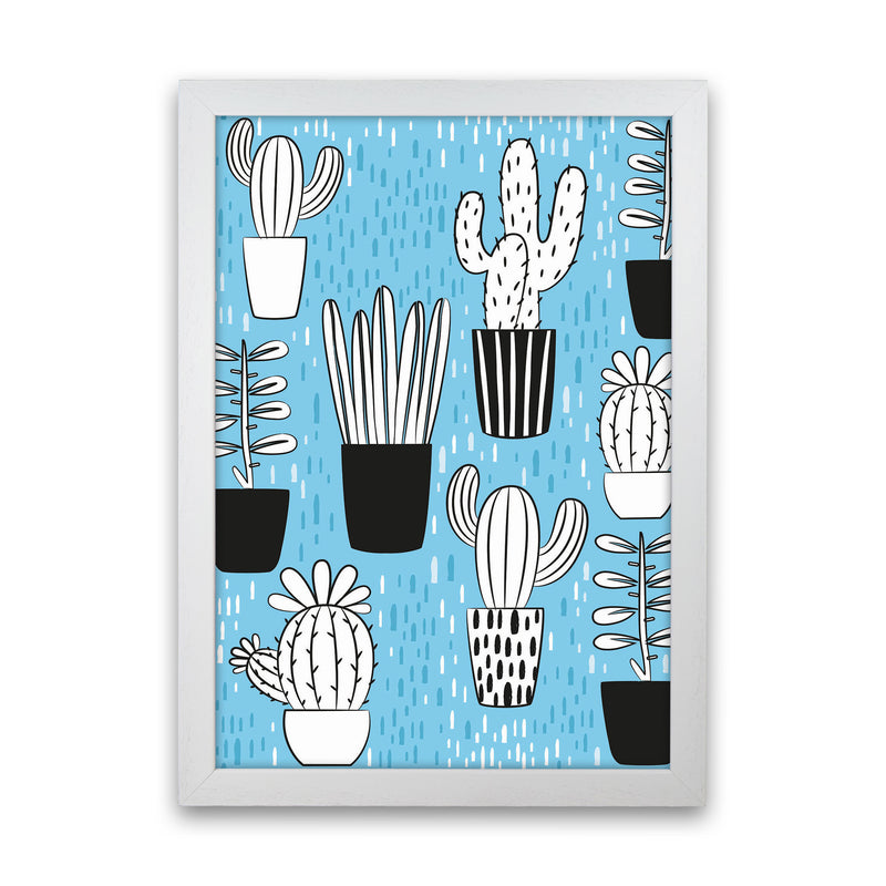 Cactus Vibes