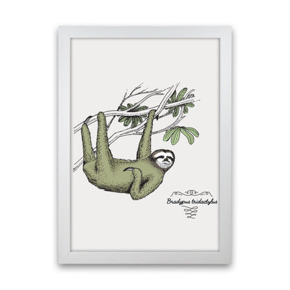 Sloth Art Print by Jason Stanley White Grain