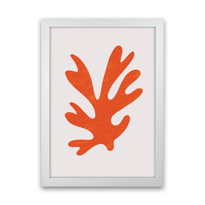 Abstract Red Algae Art Print by Jason Stanley White Grain
