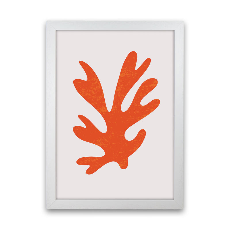 Abstract Red Algae Art Print by Jason Stanley White Grain