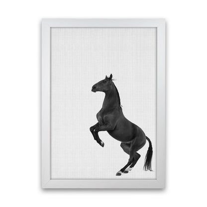 The Dark Horse Rides At Night #2 Art Print by Jason Stanley White Grain
