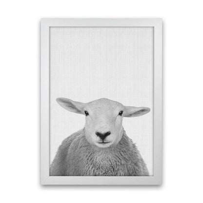 Trust This Wise Sheep Art Print by Jason Stanley White Grain