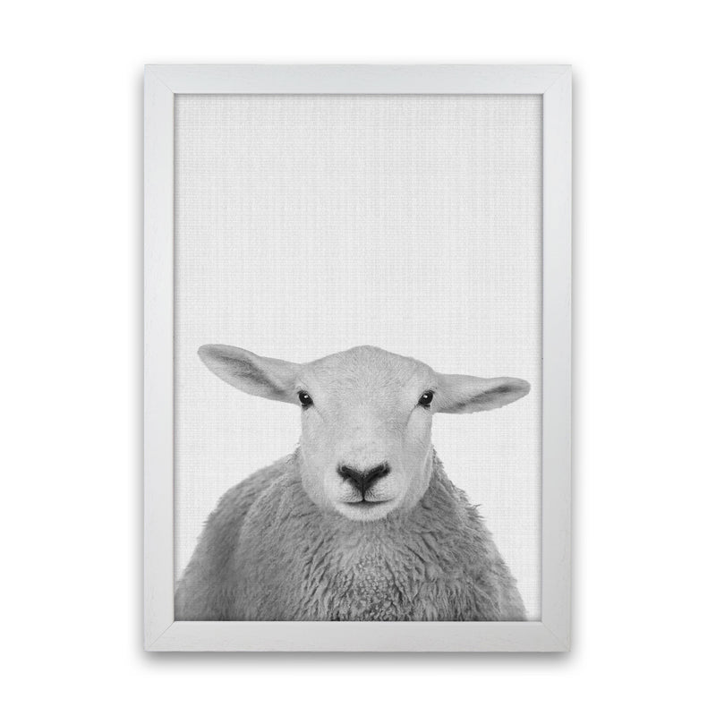 Trust This Wise Sheep Art Print by Jason Stanley White Grain