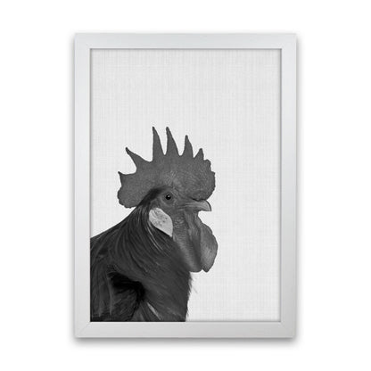 Cock A Doodle Doo Art Print by Jason Stanley White Grain